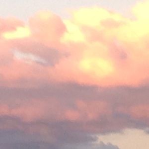 Meet your Posher, Ann Marie